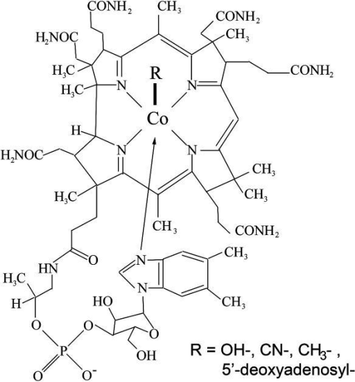 13: Synthesis of Vitamin B₁₂ - Chemistry LibreTexts